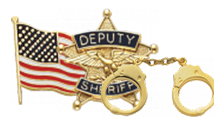 Other Insignia