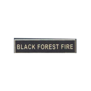 Blackinton A12365 Black Forest Fire Commendation Bar (1-3/8" x 5/16")