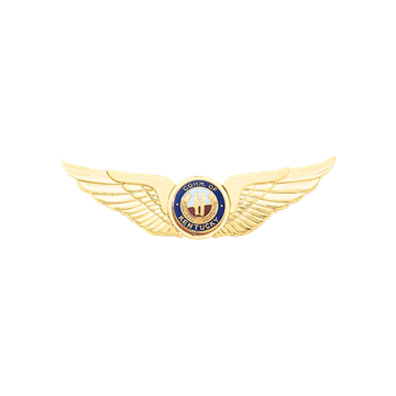 Blackinton A3934 Motor Patrol Wings