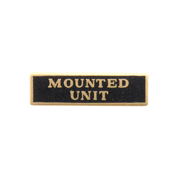 Blackinton A4560-D Mounted Unit Marksmanship Bar (1" x 1/4")