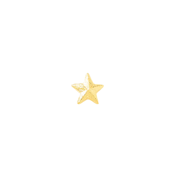 Blackinton A4931 Small Embossed Star (1/4") (Individual)