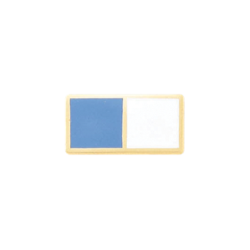 Blackinton A7564 Two Section Recognition Bar (3/4" x 3/8")