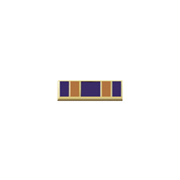 Blackinton A8119-B Five Section Recognition Bar (3/4" x 1/4")