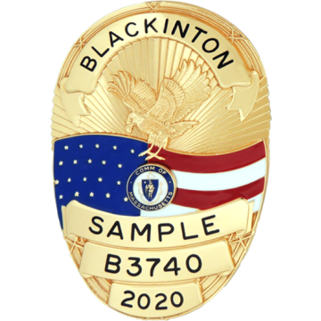 Blackinton B3740 Oval Badge with Eagle and Flag (3-3/8" X 2-1/2")