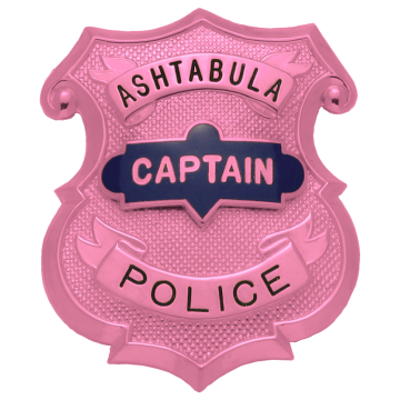 Smith & Warren MW5004 Pink Breast Cancer Awareness Shield Badge w/ Rank Panel (2-3/4" x 2-1/4")