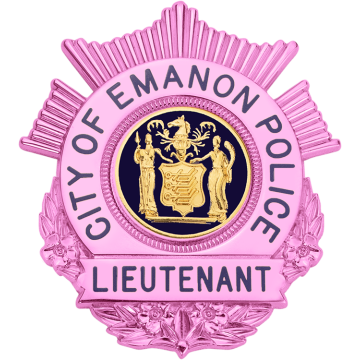 Smith & Warren S669EO_PI Breast Cancer Awareness Shield Badge w/ Sunburst on Top (2-1/2" x 2-1/4")
