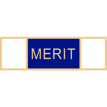 Smith & Warren SAB3_29 Medal of Merit Service Award Bar (1-3/8" x 3/8")