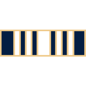 Smith & Warren SAB3_62 Eleven Section Service Award Bar (1-3/8" x 3/8")