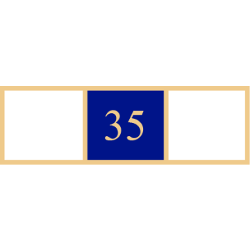 Smith & Warren SAB3_81 Three Section 35 Years of Service Award Bar (1-3/8" x 3/8")